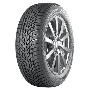 225/45R17 WR Snowproof 91H  нешипуемая